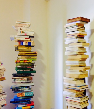 Sapien book towers for website